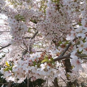 Meet your Posher, Rebekah